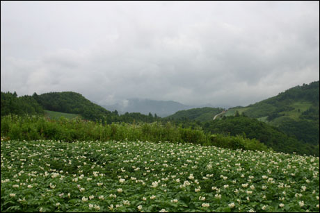 송한리에서 바라본 산하(2) 